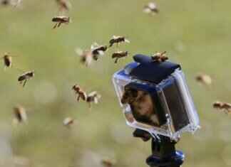 How to Prevent Water Damage & Fogging in Action Cameras How to Prevent Water Damage & Fogging in Action Cameras