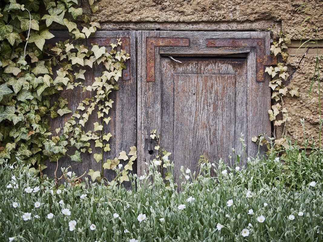 Ideal Storage Conditions for Backup Gate Valves