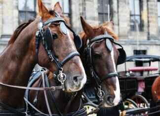 How to Prove Defamation or Verbal Abuse? How to Prove Defamation or Verbal Abuse?