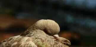 How to Prove My Innocence in a Criminal Case? How to Prove My Innocence in a Criminal Case?