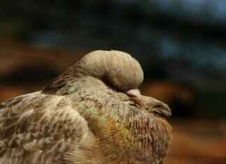 How to Prove My Innocence in a Criminal Case? How to Prove My Innocence in a Criminal Case?