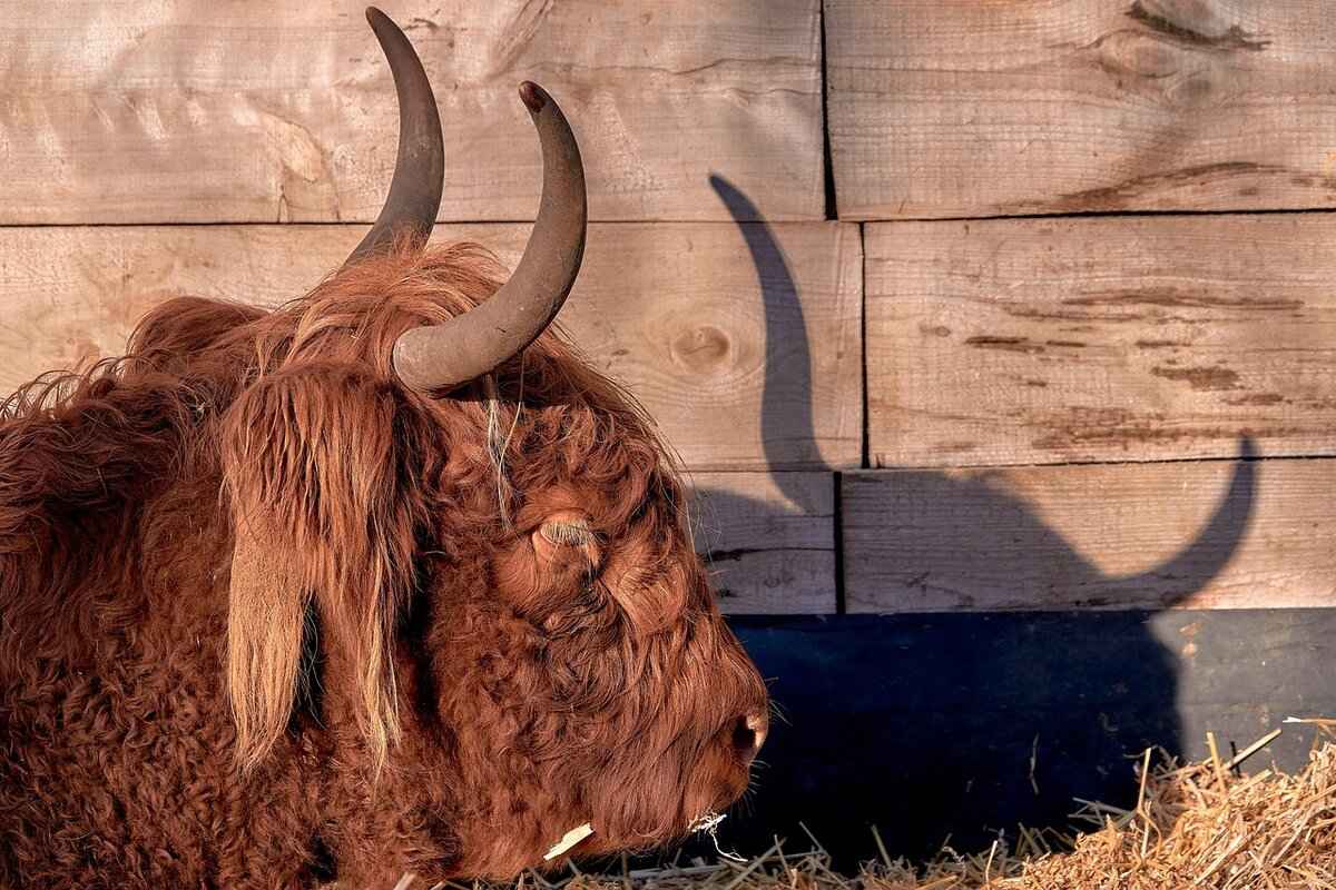 How to Prove My Innocence in a Criminal Case? 2 The Role of Evidence in Proving Innocence