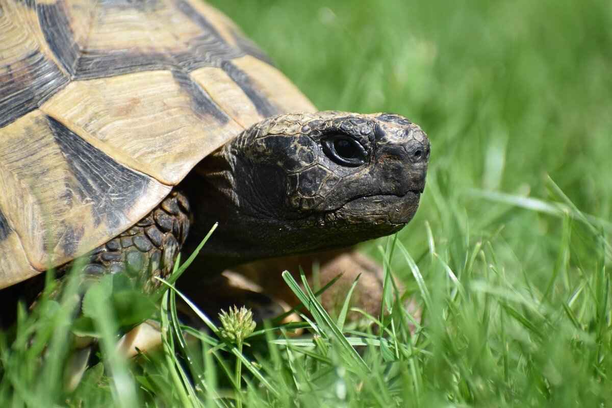 Understanding Propane Tank Gauges