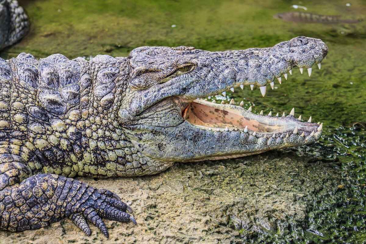 Effective Home Remedies for Pain Relief