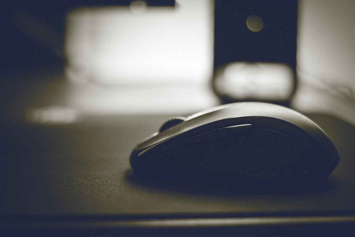 Common Surfaces Affected by Mouse Trap Glue