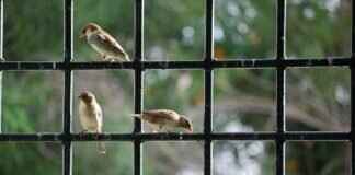 How to Remove Window Tint Residue: Simple Solutions How to Remove Window Tint Residue: Simple Solutions