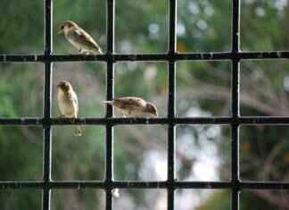 How to Remove Window Tint Residue: Simple Solutions How to Remove Window Tint Residue: Simple Solutions