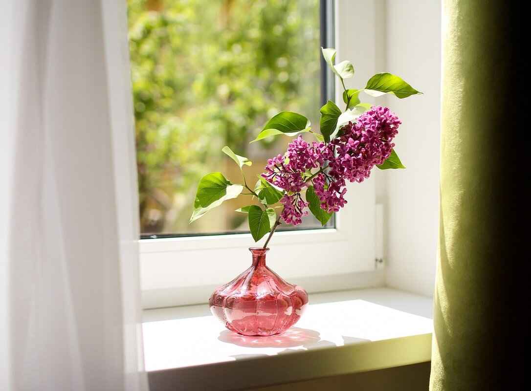 Preventing Window Tint Residue in the Future