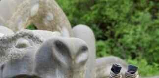 How to Request a Product Replacement Under Warranty? How to Request a Product Replacement Under Warranty?