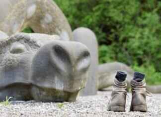 How to Request a Product Replacement Under Warranty? How to Request a Product Replacement Under Warranty?