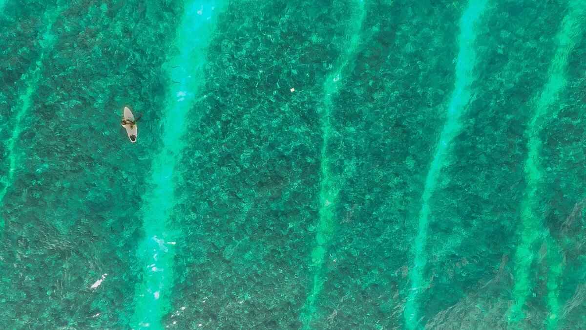 How to Score Top Points in Subway Surfers 7 Conclusion: Becoming a Subway Surfers Scoring Pro