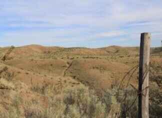 How to Set Up Prepop Email Lead Capture for Better Conversions How to Set Up Prepop Email Lead Capture for Better Conversions