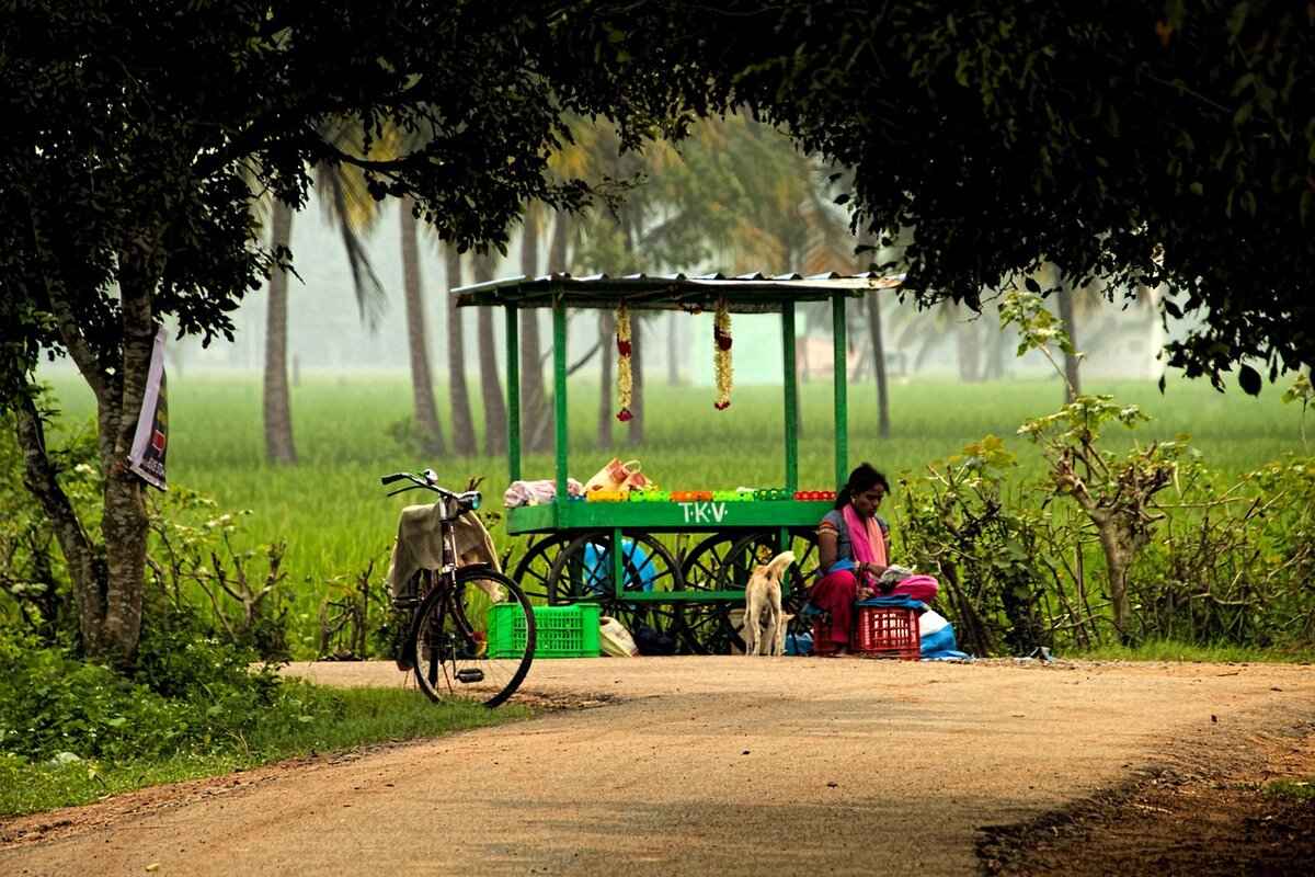 How to Shoot a Time-Lapse with Any Action Camera 4 Essential Settings for Time-Lapse Shooting