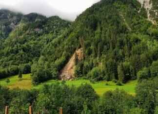 How to Shop for a Slip Dress That’s Perfect for Layering How to Shop for a Slip Dress That’s Perfect for Layering