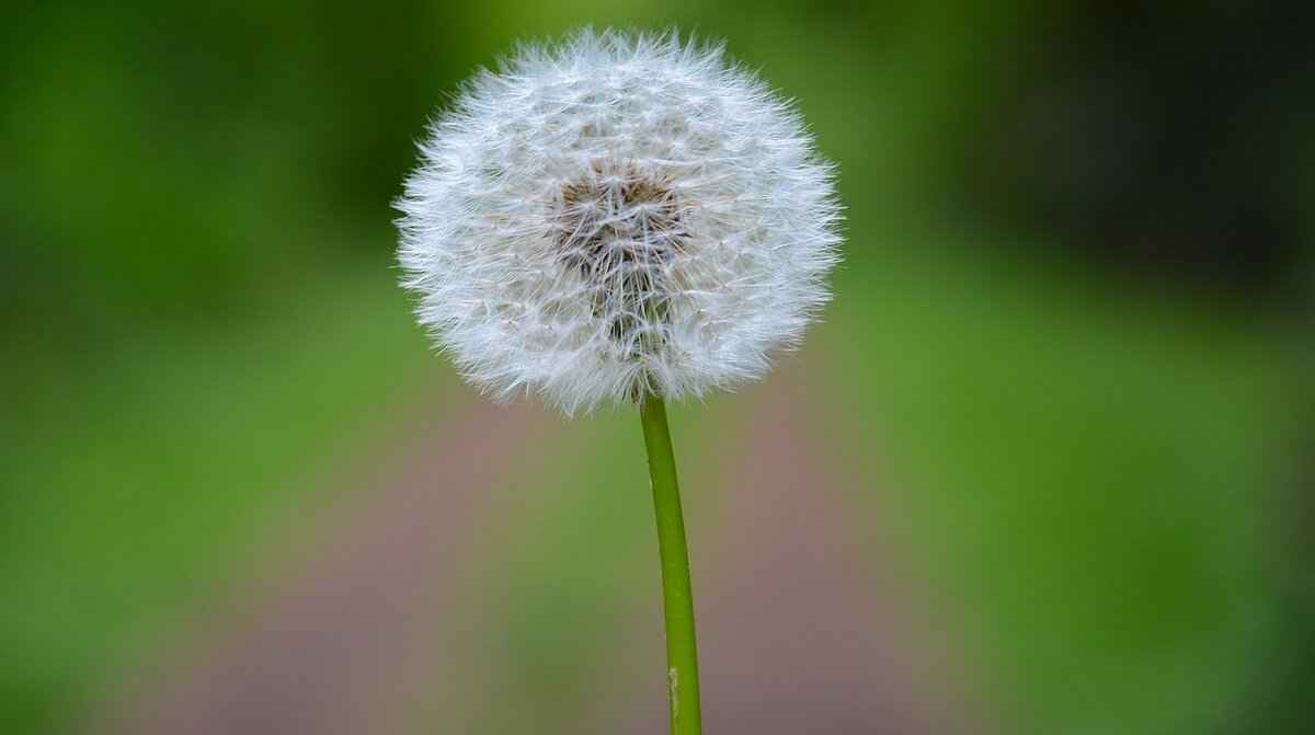 How to Sleep After Tooth Extraction: Tips for Comfortable Recovery 8 When to Seek Medical Attention