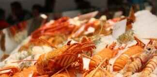 How to Spearfish for Lobster in SoCal: A Beginner’s Guide How to Spearfish for Lobster in SoCal: A Beginner's Guide