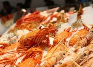 How to Spearfish for Lobster in SoCal: A Beginner’s Guide How to Spearfish for Lobster in SoCal: A Beginner's Guide