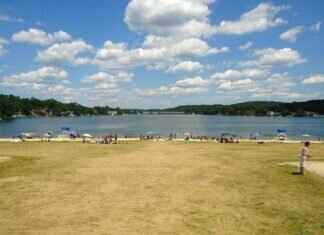 How to Spot a Fake Van Persie Jersey Before You Buy How to Spot a Fake Van Persie Jersey Before You Buy