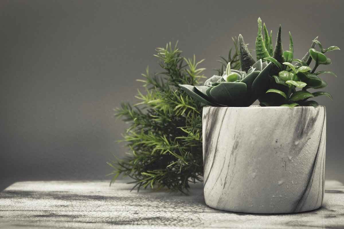 How to Spot a Top-Notch Asian Massage Spa in Your Area 2 Key Features of a Quality Asian Massage Spa