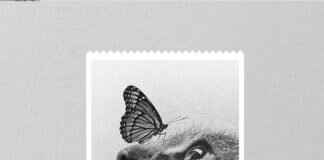 How to Start a Business in Upscale Portable Bathrooms: A Profitable Venture How to Start a Business in Upscale Portable Bathrooms: A Profitable Venture