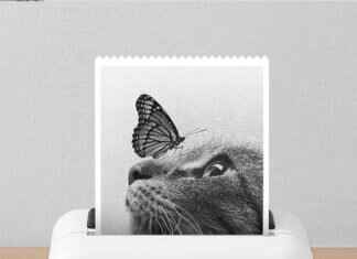 How to Start a Business in Upscale Portable Bathrooms: A Profitable Venture How to Start a Business in Upscale Portable Bathrooms: A Profitable Venture