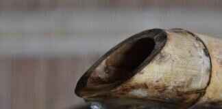 How to Steam Food the Asian Way: A Guide to Bamboo Steamers How to Steam Food the Asian Way: A Guide to Bamboo Steamers