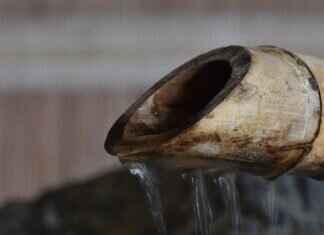 How to Steam Food the Asian Way: A Guide to Bamboo Steamers How to Steam Food the Asian Way: A Guide to Bamboo Steamers