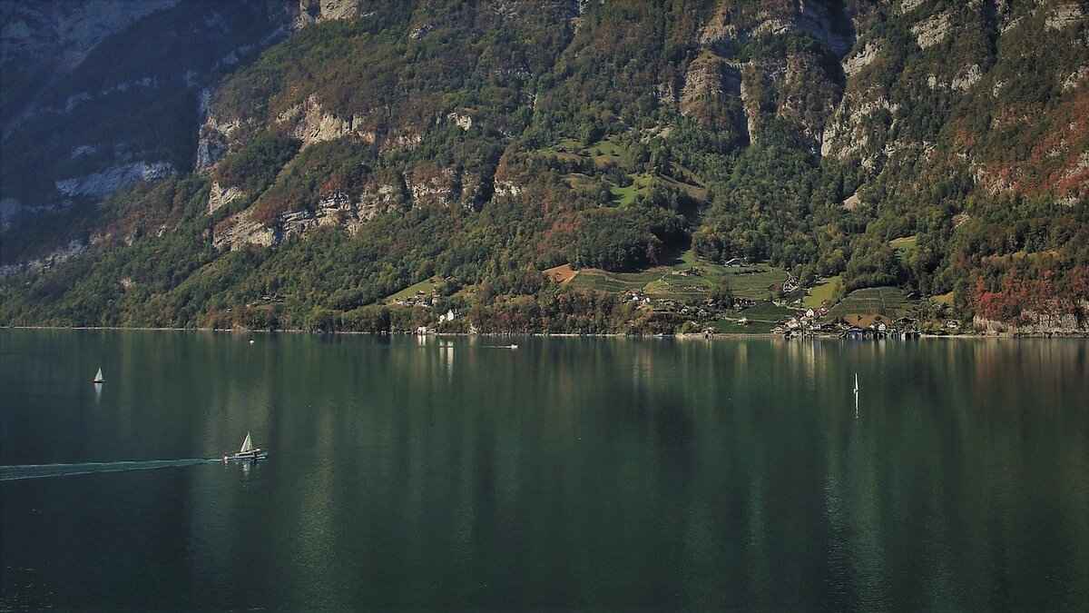 How to Stop Throbbing Pain After a Root Canal 5 Alternative Pain Relief Methods