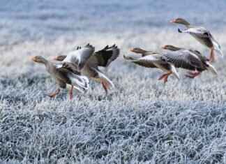 How to Style a Slip Dress for a Winter Date Night How to Style a Slip Dress for a Winter Date Night