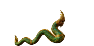 How to Survive as a Dragon with Time-Limit Novel: Tips for Characters How to Survive as a Dragon with Time-Limit Novel: Tips for Characters