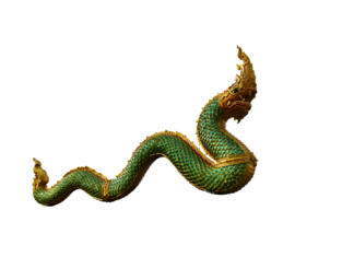 How to Survive as a Dragon with Time-Limit Novel: Tips for Characters How to Survive as a Dragon with Time-Limit Novel: Tips for Characters