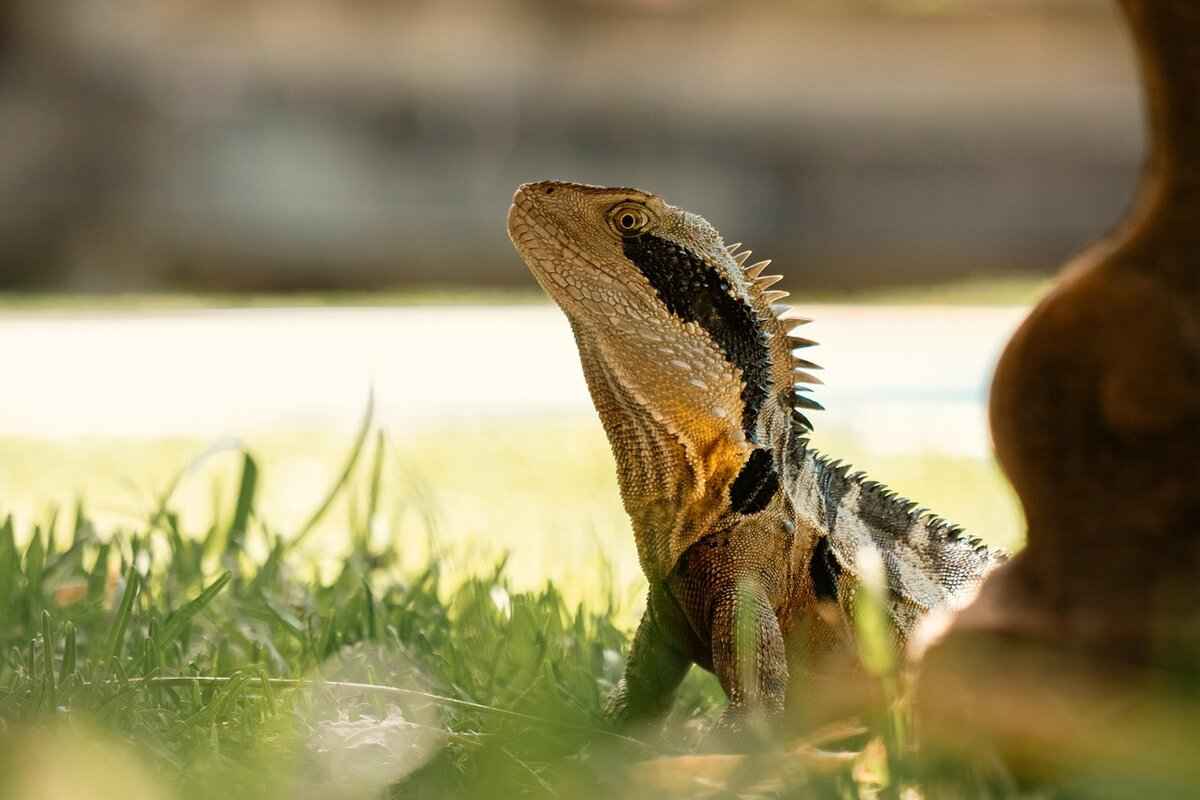 Strategizing for Time Management