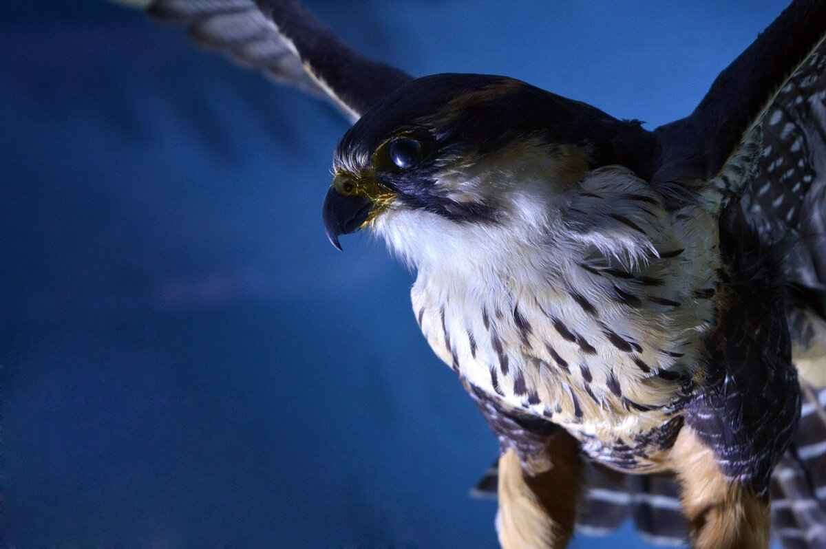 Finishing Touches for a Realistic Look