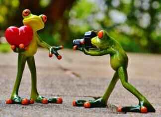 How to Update Your Action Camera Firmware: A Complete Guide How to Update Your Action Camera Firmware: A Complete Guide