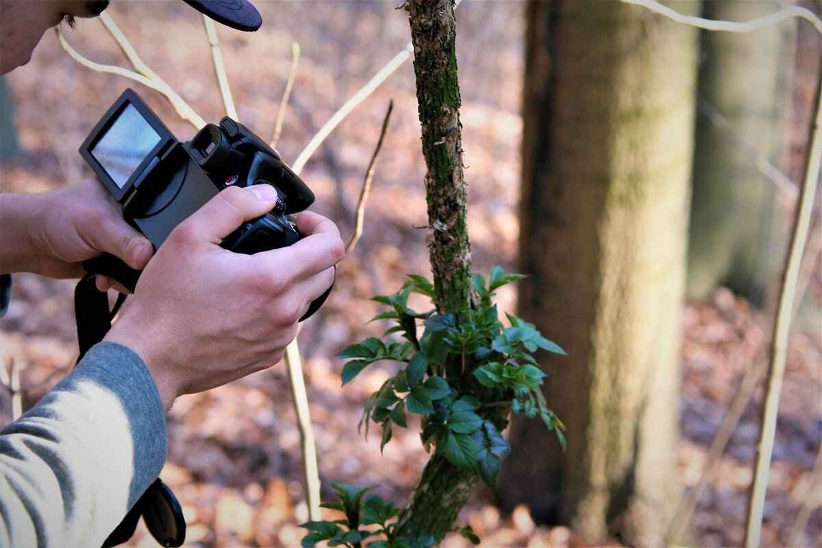 How to Use an Action Camera for Live Streaming on YouTube & Twitch 3 Essential Features of Action Cameras for Streaming