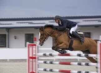 How to Use an Action Camera for Sports Coaching & Training Analysis How to Use an Action Camera for Sports Coaching & Training Analysis