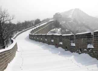 How to Use Morjier255: A Complete User Guide How to Use Morjier255: A Complete User Guide