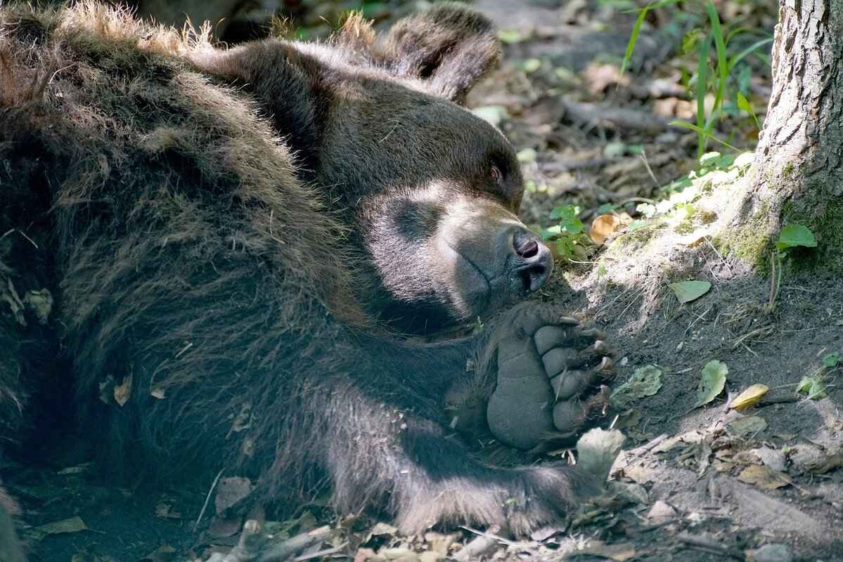 Creating Interactive Learning Activities