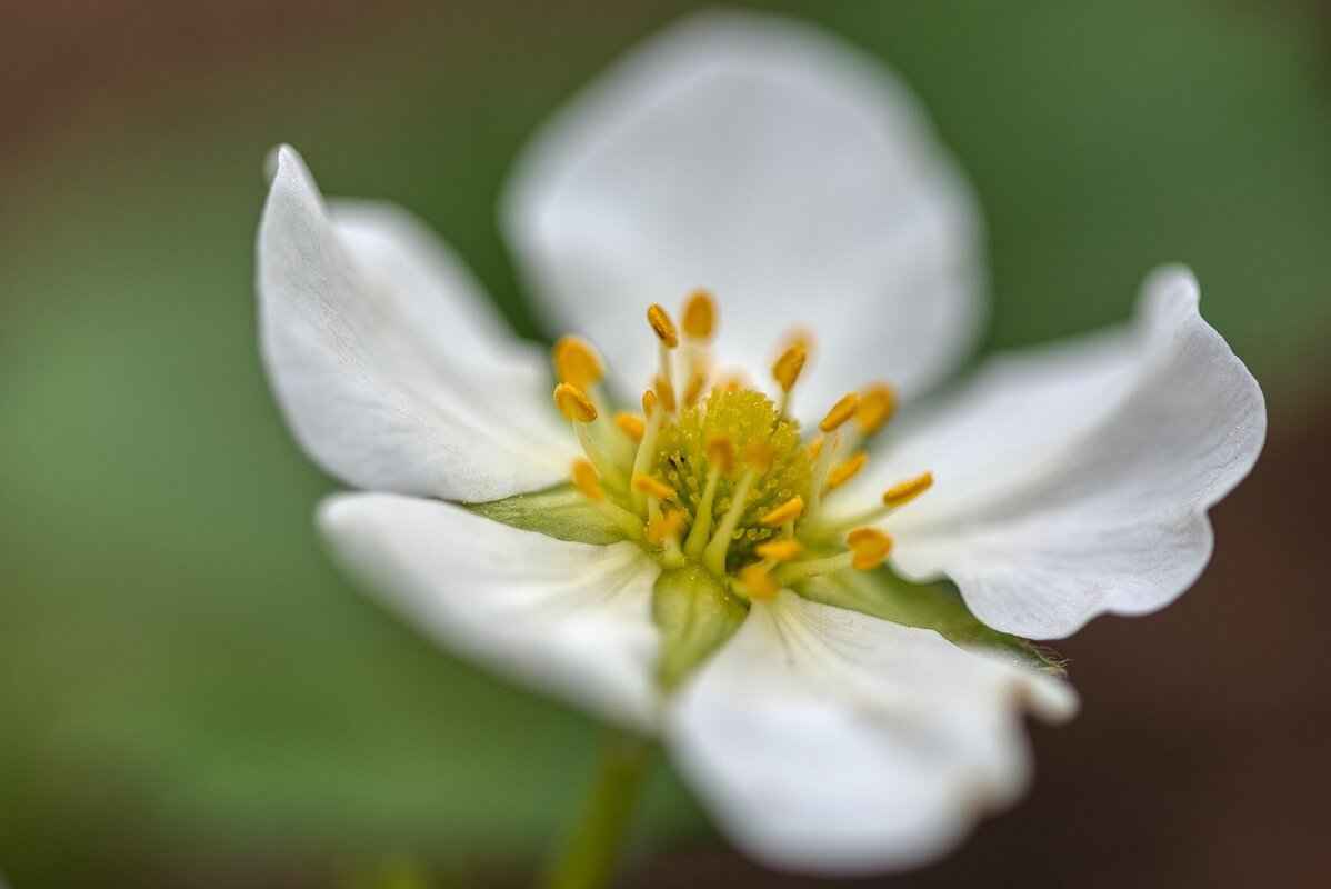 Common Mistakes to Avoid When Writing a Will