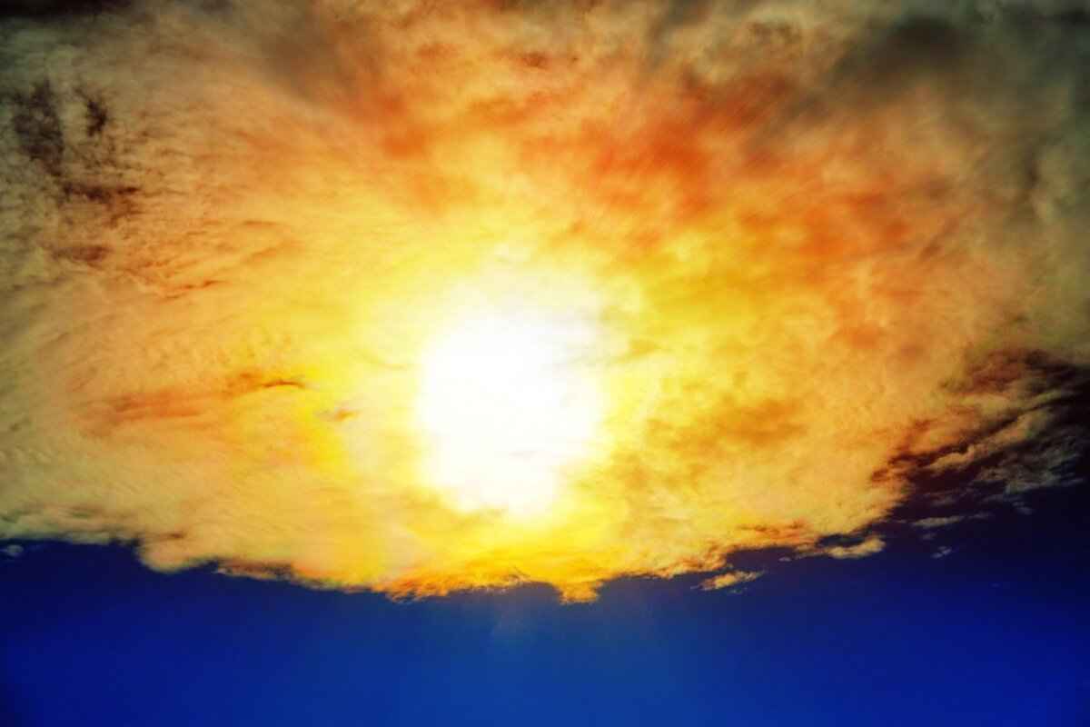 Types of Wills: Which One is Right for You?