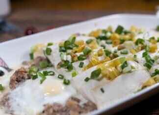 How Tofu is Being Used in Modern Plant-Based Fusion Dishes How Tofu is Being Used in Modern Plant-Based Fusion Dishes