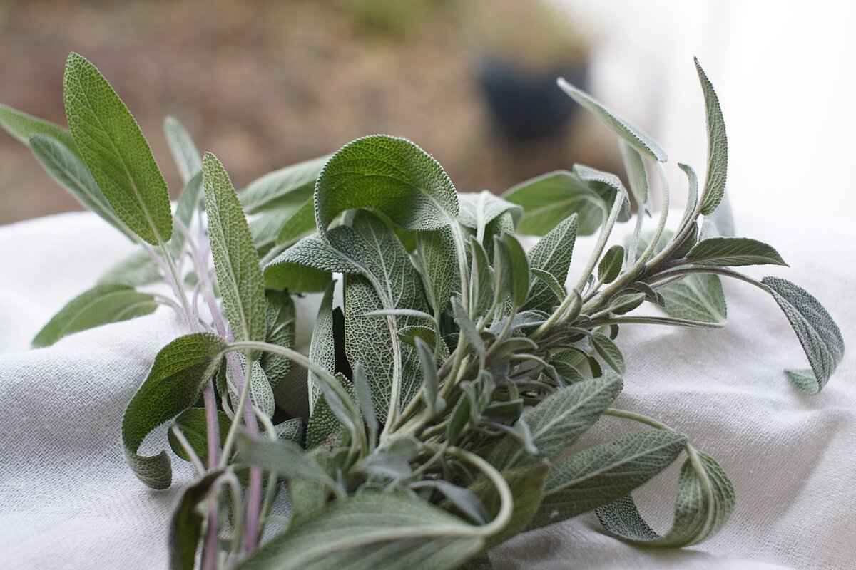 What Role Do Herbs Play in Asian Cooking?