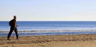 How Vaping Affects Your Heart: What Studies Show How Vaping Affects Your Heart: What Studies Show