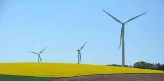 How West Bengal is Leading the Way in Renewable Energy Initiatives How West Bengal is Leading the Way in Renewable Energy Initiatives