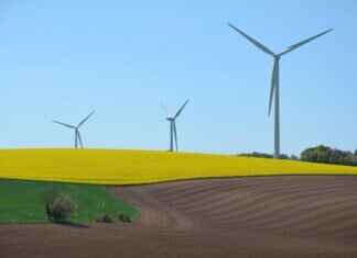 How West Bengal is Leading the Way in Renewable Energy Initiatives How West Bengal is Leading the Way in Renewable Energy Initiatives