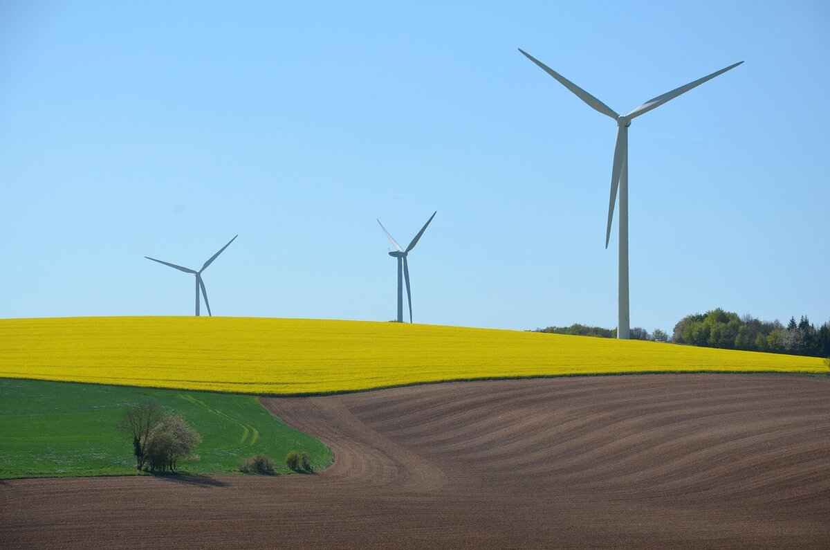How West Bengal is Leading the Way in Renewable Energy Initiatives 3 Biomass Energy Projects in West Bengal