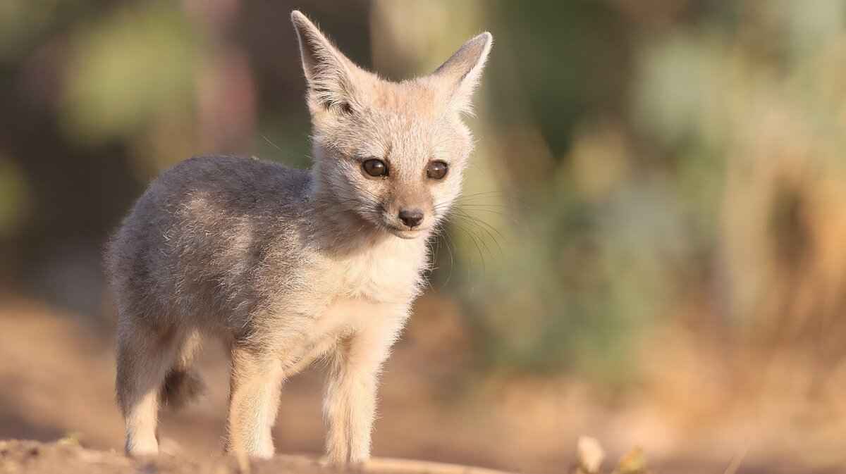 Influence of Religious Diversity on Architecture