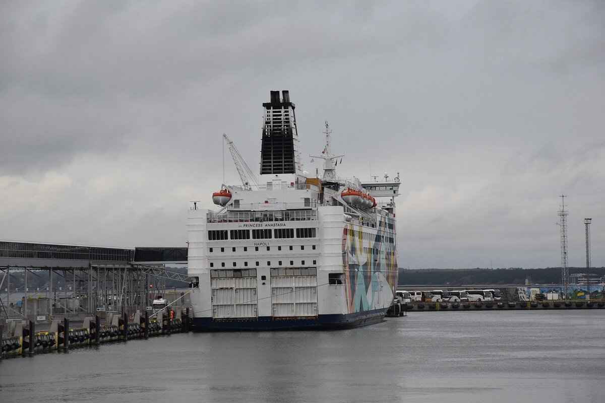 What Historical Events are Portrayed in the Novel?