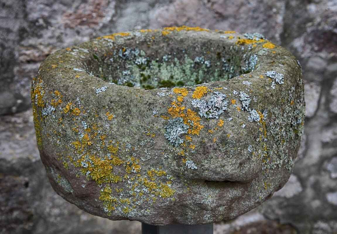 Legal Options Available to Scam Victims