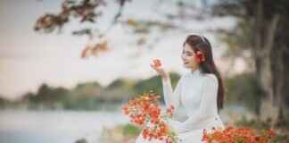 In Search of the Best Asian Massage Near Me Open Now In Search of the Best Asian Massage Near Me Open Now